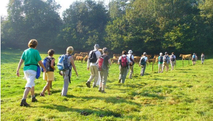 photo groupe sentier